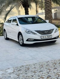 سوناتا • ٢٠١٤ • حادث