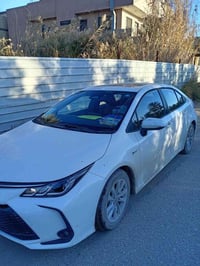 كورلا هايبرد • ٢٠٢٥ • رقم بغداد