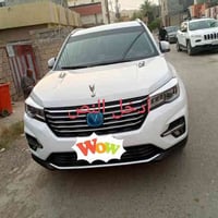 سي اس 75 • ٢٠١٩ • مصدوم