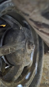 ويل نجمة ماكس • مكفول • شعب