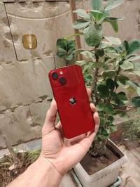 ايفون ١٣ • ٢٥٦ • الدورة