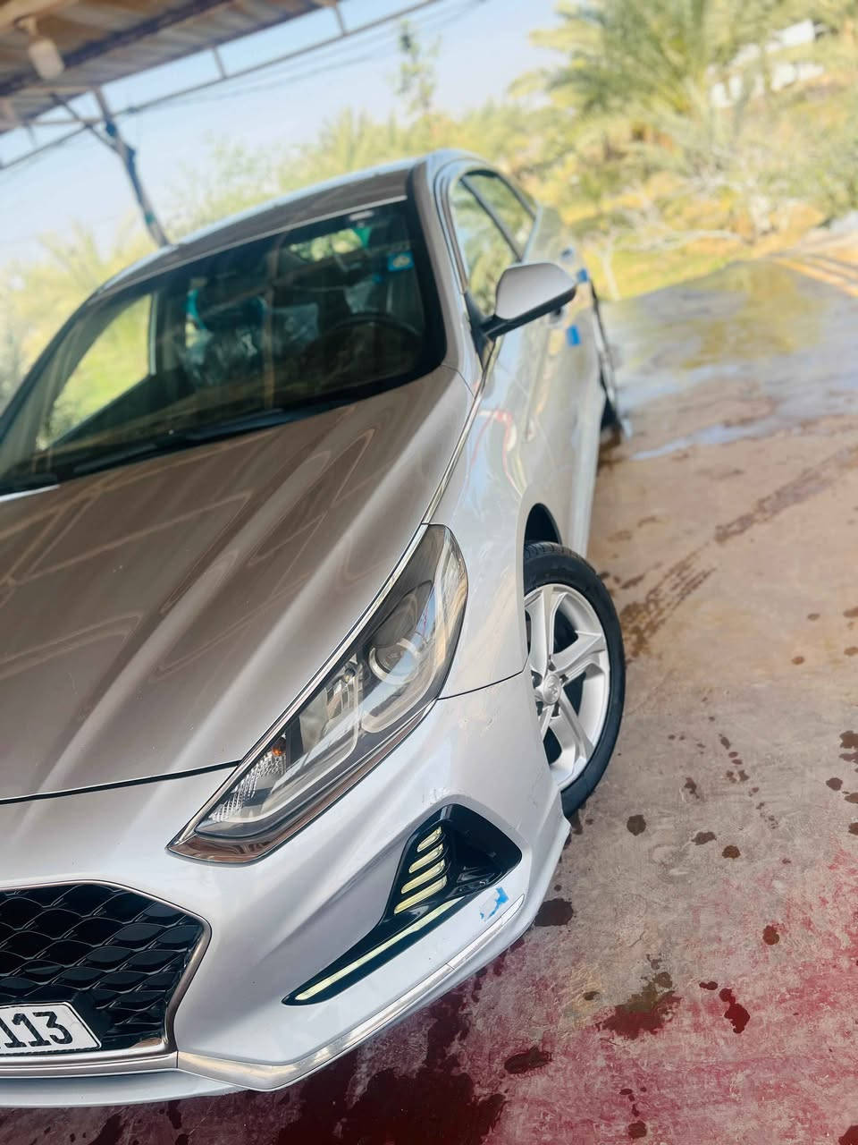 ‎سوناتا ٢٠٢١‎ ديوانية, القادسية


**إذا كنت صاحب هذا الإعلان وتريد حذفه لأي سبب، رجاءا أرسل رسالة إلى الدعم الفني**