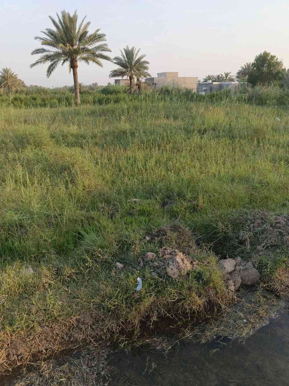 سلام عليكم عرض جديد🚩
قطعه ارض المساحه دونم (2500)متر 🌷
طابو زراعي سند)(25)🌷🚩
الخدمات كلها متوفره 🚩🌷
كاع زراعيه حلوة تريد دونم فارغ تريد دونم بيه 14نخله بكيفك تختار ينباع واحد بس منهن 🚩🌷
الوجه (50والنزال50) 🚩🌷
(العنوان منطقة سيد سهل ) 
السعر (67)وبيه مجال  🚩🌷
الخدمات كلها متوفره ماء وكهرباء وماء سكي 🚩🌷
***********
