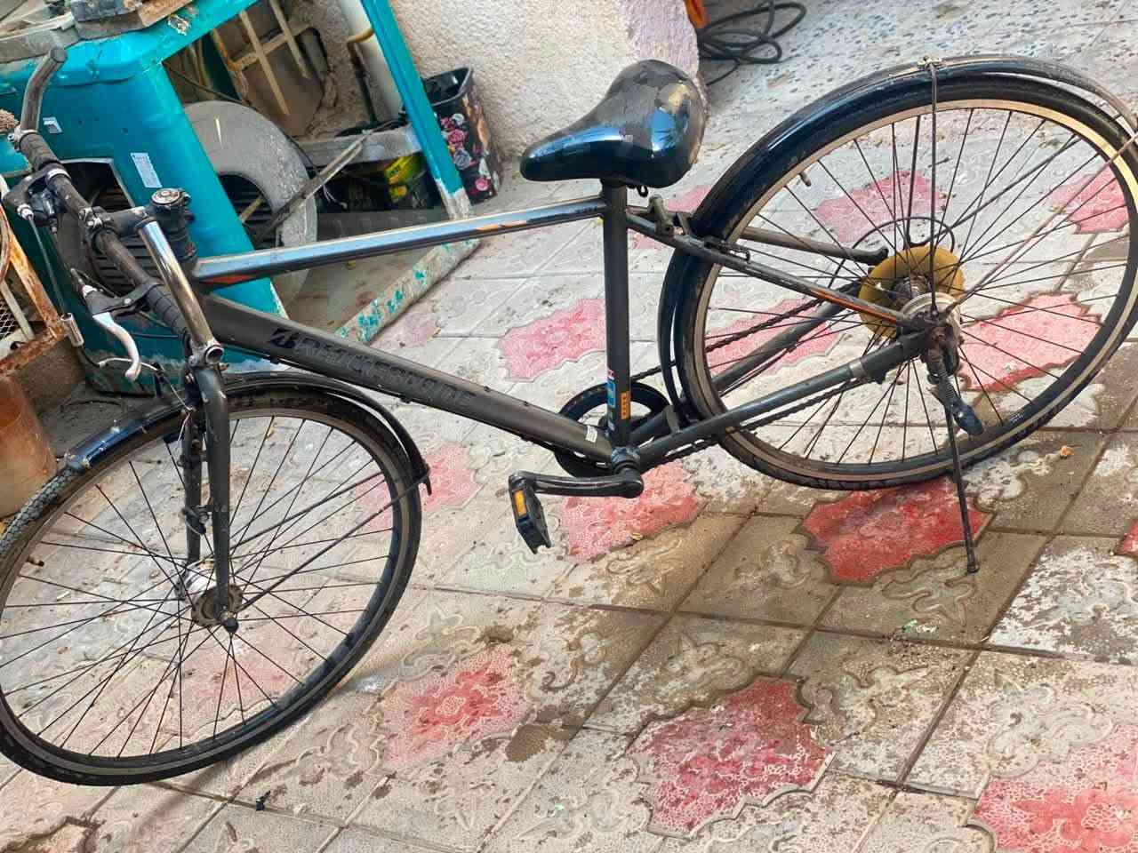 سلام عليكم بايسكل رياضي جديد ما عايز شي مثله يبيعونه 200  وأكثر مستعجل ع بيعته 150وبي مجال 

رقمي ***********
