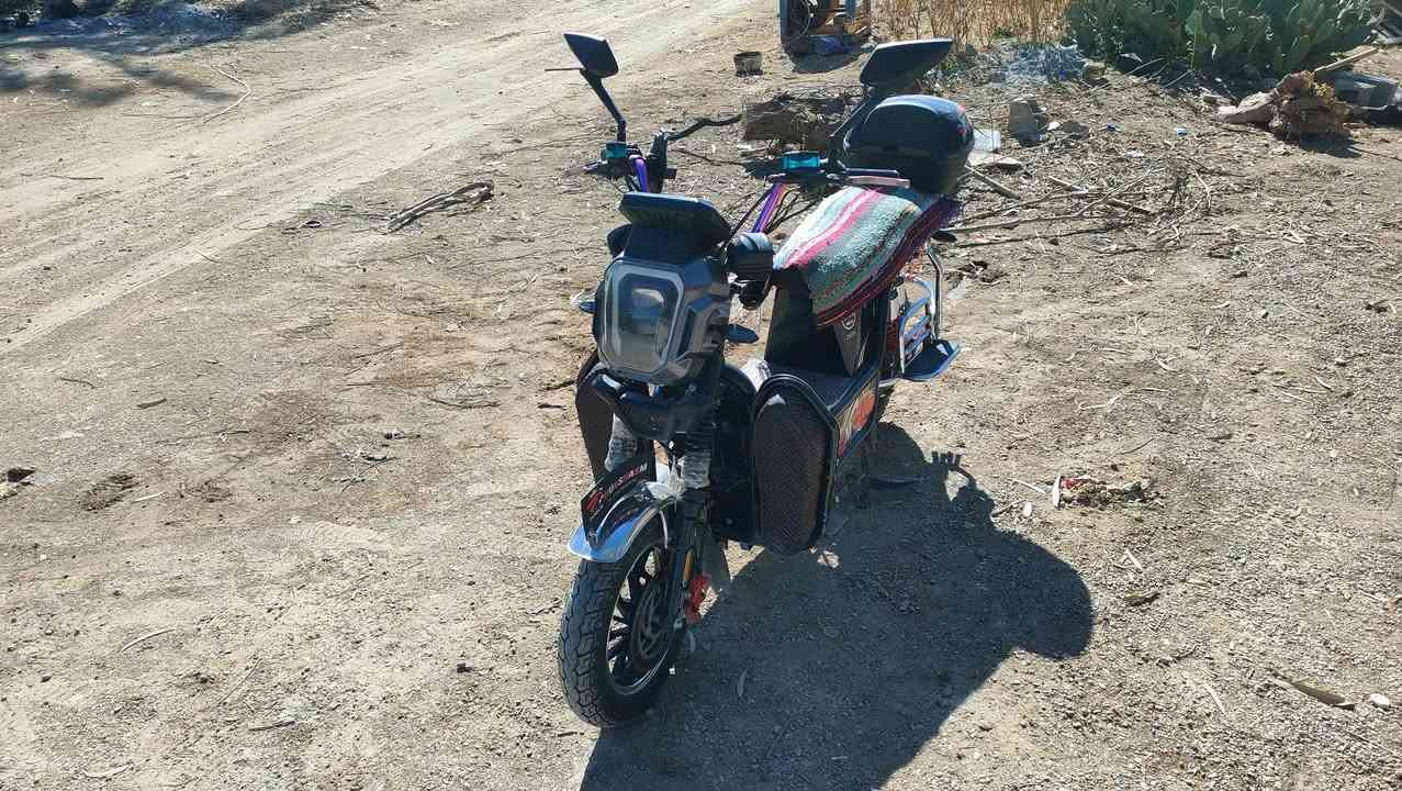 متاح ماطور هيوشه شحن 2025
كهربائيات كله شغاله ع فحص يدات بريك ضوئيه
بطاريات ع فحص سعرة 550 وبي مجال


**إذا كنت صاحب هذا الإعلان وتريد حذفه لأي سبب، رجاءا أرسل رسالة إلى الدعم الفني**