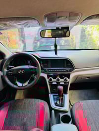 ٢٠١٩ • وارد أمريكي • باسمي