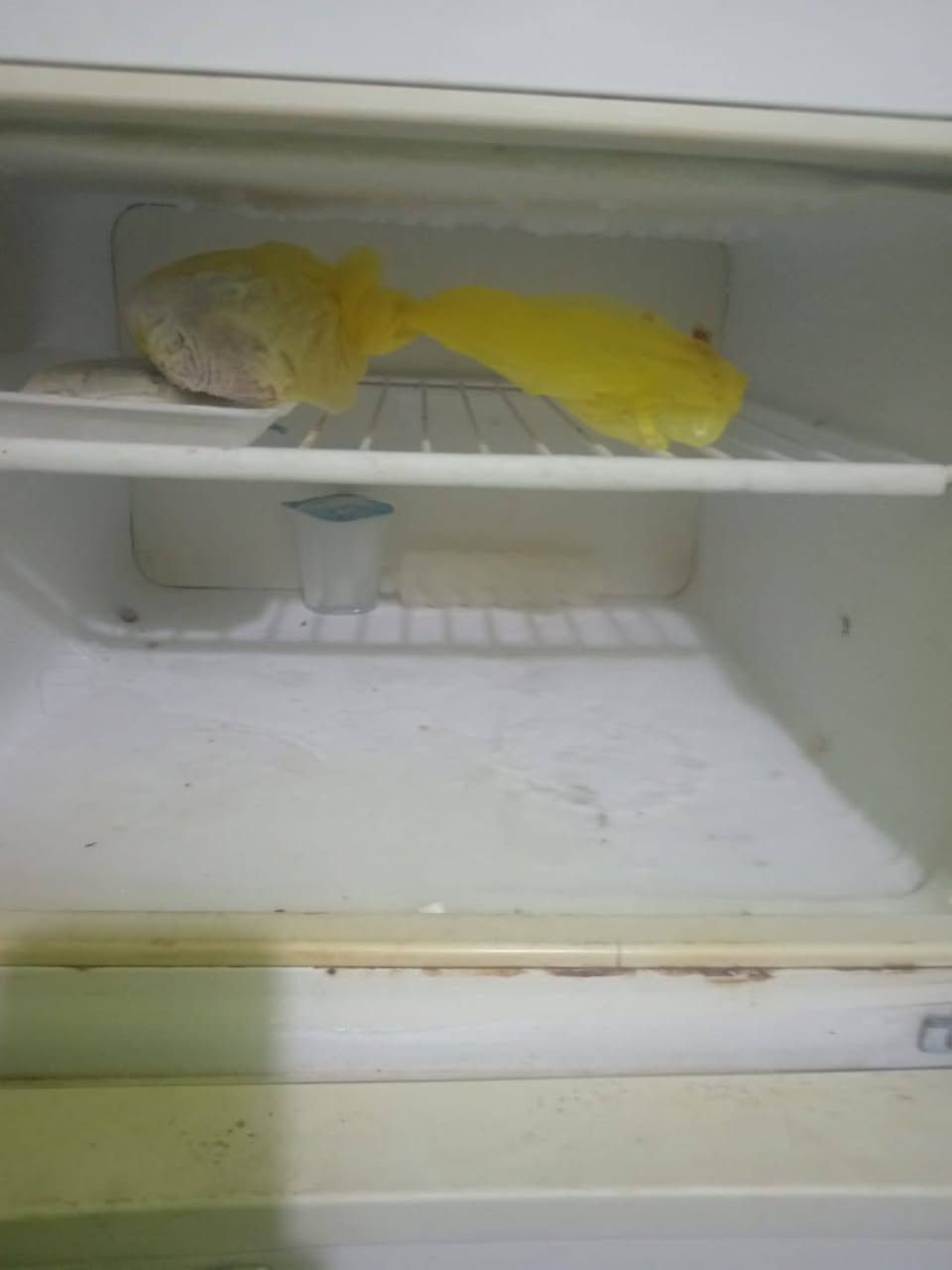 سلام عليكم لبيع تجميد فول  سعر 125 وبيه مجال 
***********
