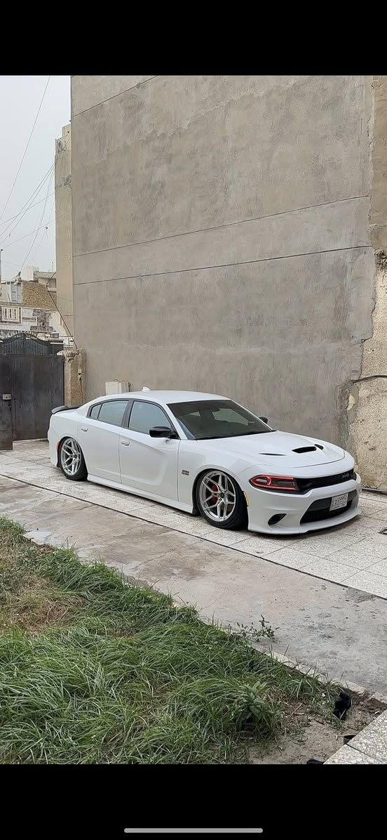 لسلام عليكم للبيع جارجر سكات 6400  2016 1/1 عدا الفتحه رقم بغداد باسمي 
الموصفات : 
سوبر تراك باك
شاشه جبيره كاربلي
كشنات كنتاره  دخل احمروجلد كهرباء 
تدفئه تبريد كشنات
خزن ميموري 
تدفئه ستيرن 
رادار بالمري
مري قلاب
دمام خلفي من شركه بيس
سياره فول عدا فتحه 

الاضافات : 😍 
ويل روهانا 
صبغ ويل وفجوج 
سقف روز ابو 400 نجمه 
غطاء مال فيوزات وقبق الدبه 
مازدات متغير وياها عين الشيطان 🔥

التزويد : 🔥
شوته kn 
اويل كاج كان نوع بلت الاحمر 
ميثانول انجكشن اصدار الاخير 
كيج AFR من شركه AEM
دركه هلكات اصليه 
دواخل كاربون كامل 
بلكات njk ريسنك 
ولف حماوه ريسنك 82c  
تفريغ 
داون بايب 3 انج 
عليها جكات S2
برمجه بيد البطل مصطفى ايكل 

السياره ربع ميحتاجلها صرف كامله مكمله من كل نواحي 
حادثها جاملغ خلفي وربع الباب الخلفي والامامي وبنيد مبدل
بدون ايرباك السياره

200 وبيها مجال
هذا رقمي واتساب واتصال مافتح فيس قليل
***********
