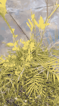 سلام عليكم شباب نامه برو محرك200 موديل25 نضافه خير من الله 875 مكاني حمرين شغل وطلع ***********
