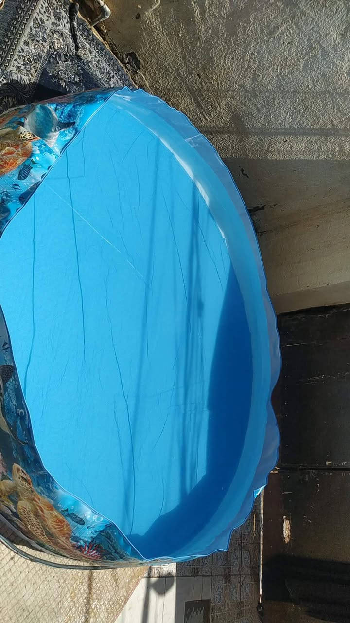 مسبح أكبر حجم للبيع حله


**إذا كنت صاحب هذا الإعلان وتريد حذفه لأي سبب، رجاءا أرسل رسالة إلى الدعم الفني**