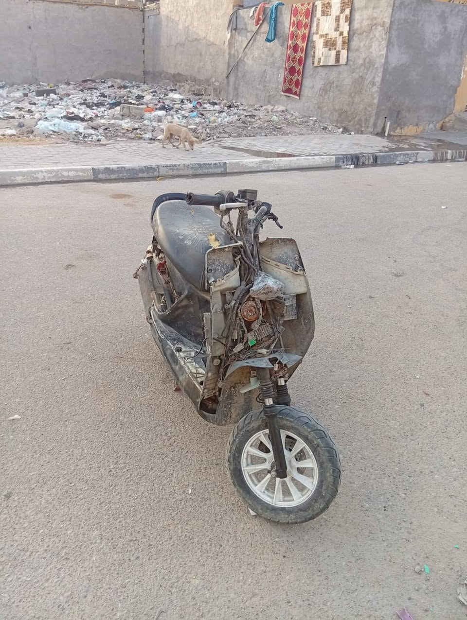 دراجة للبيع بوليسي
***********
العنوان/بصرة قبلة
