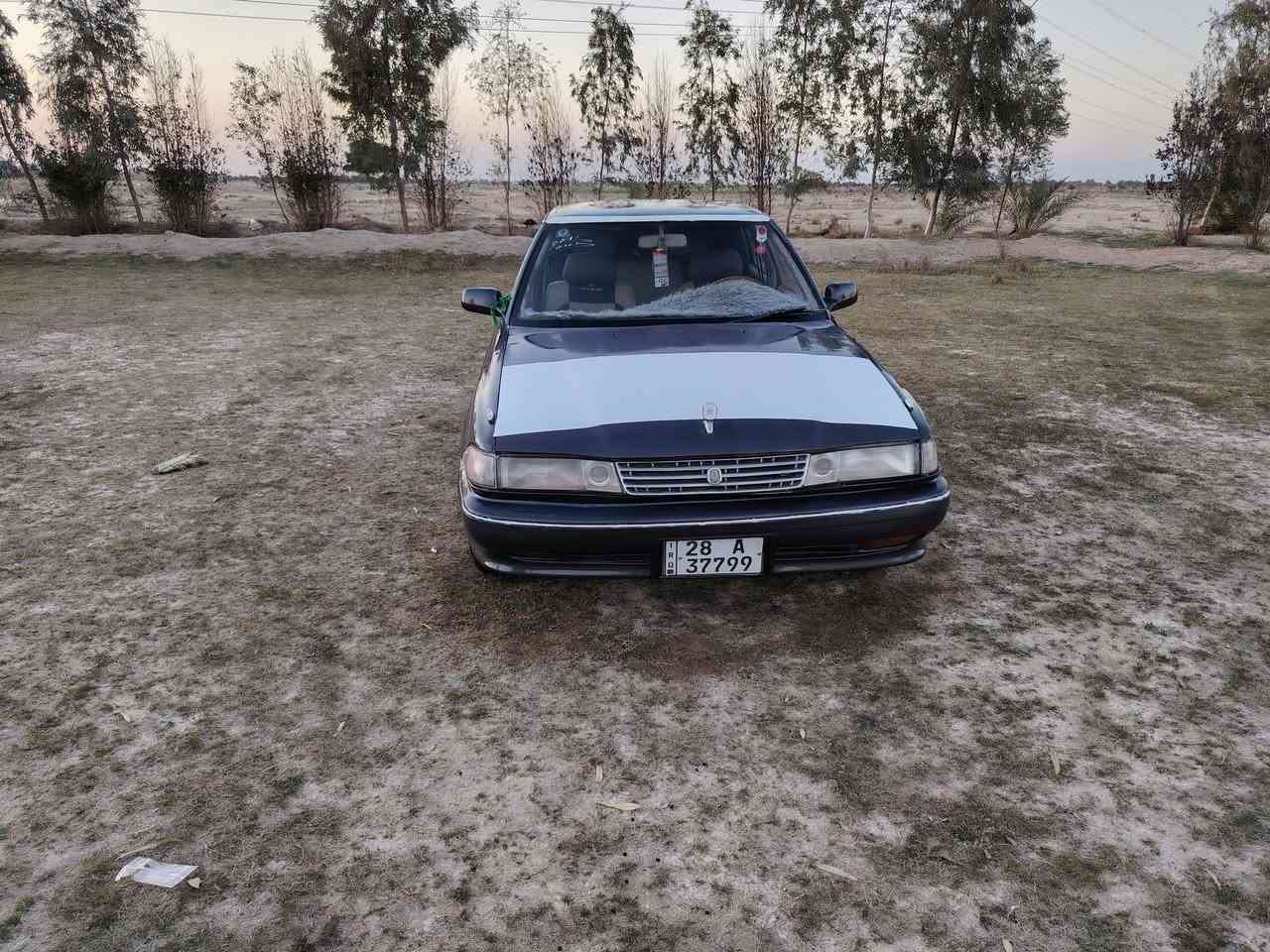 #سلام عليكم
سياره مارك موديل ٩١ رقم نجف
بسمي ستوه صاعده هزه سنويه لسنه ٣١
 محرك ونجي وكير ستوي شادهن حداديه نظيفه
سياره مكفوله كص وظربه ونقل

 واصوليات مداور يمتا ماتريد
السعر المطلوب ٣٨ مكان السياره نجف ٠ شارع كربلاء نجف
رقم الاتصال ***********
