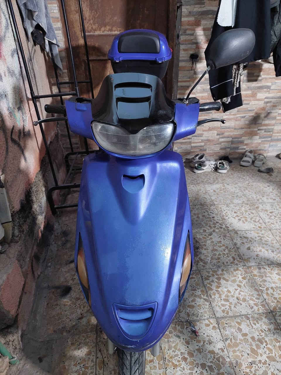 للبيع فراشه فحل مجفته سعرها 300 وبيها مجال الإسكندرية الحب يراسلني أو يتصل .
***********
