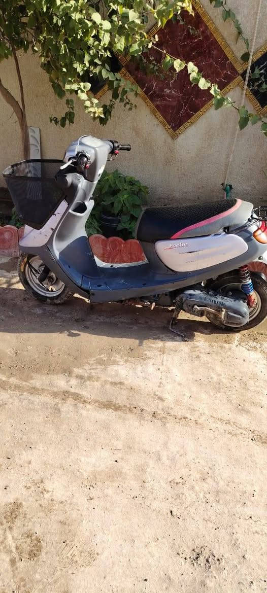 دراجه منغولي حلوه ونضيفه ماناقصها شي للبيع الاتصال على الرقم ***********
