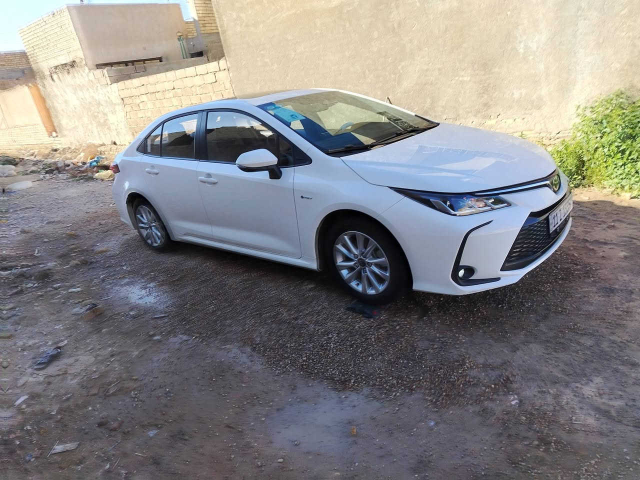 للبيع كورولا هايبرد موديل 2025 شكل خليجي
✔️ محرك 1.8 لتر بنزين + نظام هايبرد اقتصادي
وباقي الموصفات المعروفه 
ماشيه 10الف كم
رقم بغداد سياره نضيفه الله شاهد  
كفاله عامه من صبغ وتصليح
السعر 155$
العنوان بغداد 
تواصل خاص


**إذا كنت صاحب هذا الإعلان وتريد حذفه لأي سبب، رجاءا أرسل رسالة إلى الدعم الفني**