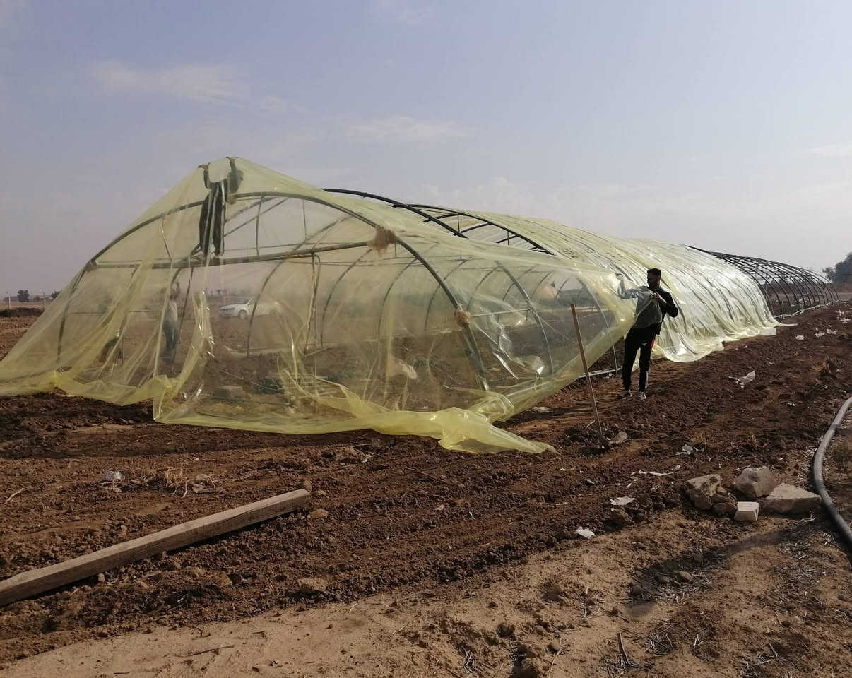 كادر النمرود يرحب بكم بأدارة نجم
(طريق الفلاح ) موسم الزراعة في البيوت المحمية
 تركيب وتغليف جميع انواع البيوت البلاستيكية
تبديل الموقع بيع وشراء للتواصل 
***********
