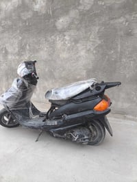 فضائي • مشيه يخبل • بدون أوراق