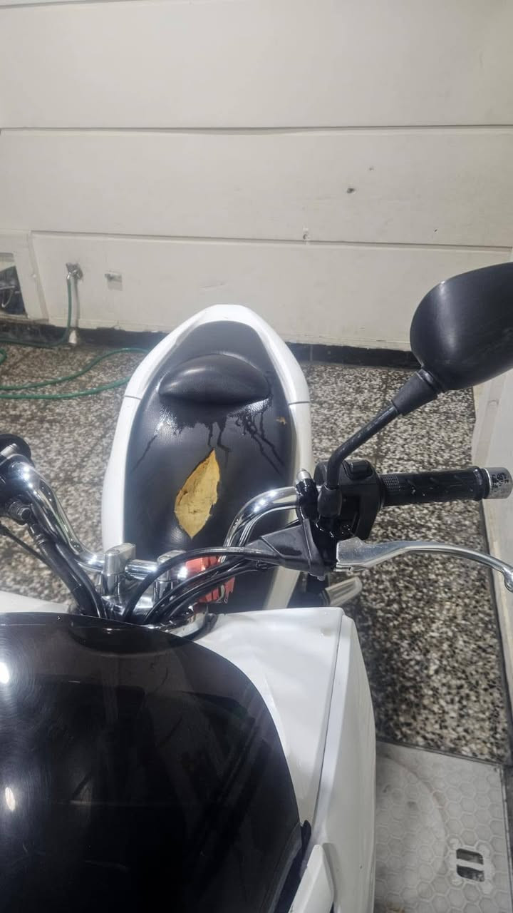 دراجة pcx جيل اول ياباني JF
صارلها سنتين عندي الله يشهد مموديها لمصلح ابد 
ال ابدل تاير ابدل بريك شغلات بسيطة 

بانزين كله محسن 
دهن موتل

الكشر شوية تعبان 
و الطوافة عطلانة 

مليون و 350 الف بيه مجال كلش كلش بسيط

البياعة شراية ليخابرون مالي خلك

الي يجيني يكلي اكو ارخص وانظف اي صح بس هاي بالصور روح للواقع وشوف لعبان النفس

بالمناسبة اكدر اكتب صارلها 3 اشهر بس حرام فلدكلي صارلها هواي
***********
