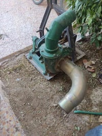 خنزيرة • نظيفة • حجم6/ب5