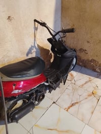 تسع ازروف • نضيف • بدون اوراق