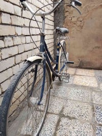 حجم ٢٦ • نضيف • كربلاء شهداء الموظفين