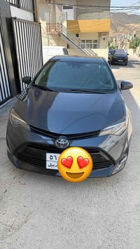 كورولا • ٢٠١٩ • دهوك