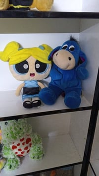 دببه • احجام عملاقه • اشكال مختلفه