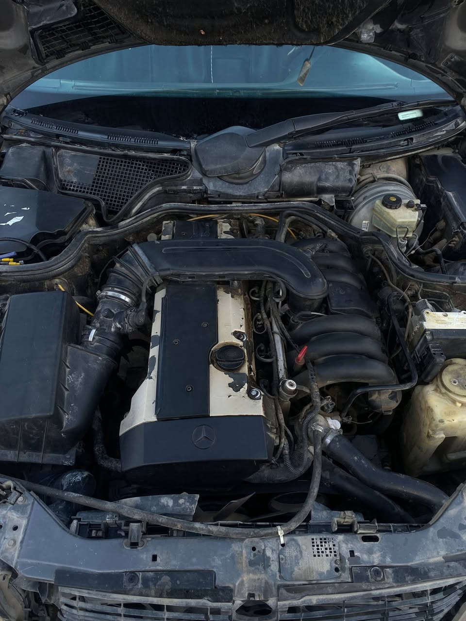 السلام عليكم ورحمة الله وبركاته
مارسيدس ام عيون موديل 1996 
محرك خراطيم بلادي 
السيارة مثل ما موضحه في الصور 
كير محرك مكفولات 
التبريد ميشتغل 
ويحتاجلها كم شغلة ترتيبات 
 ومثل ما موضح بيها باب وجاملغ واكو بارد يم الجنطه 

السيارة بيها هواي مواصفات مثل ما واضحه كشن كهرباء 
ذاكرة ميموري 
تجوة قلاب 
دركة مال c300
تنته
كشنات جلد 
غرفتها نضيفه
وبعد باقي المواصفات مال ام عيون 
السنوية بأسمي 

السيارة يحتاجلها ترتيب 
السعر 70
رقم بغداد الماني 
***********
العنوان كربلاء
