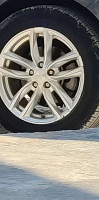 ويل ١٦ • مراوس • طخم