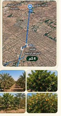 📢 فرصة مميزة للاستثمار أو التملك في بغداد  🔹 للبيع قطعة أرض طابو زراعي...