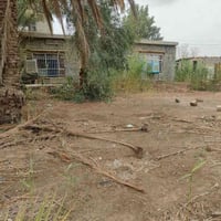 سند ٢٥ • ١٢٠٠م • بيت ومشتمل