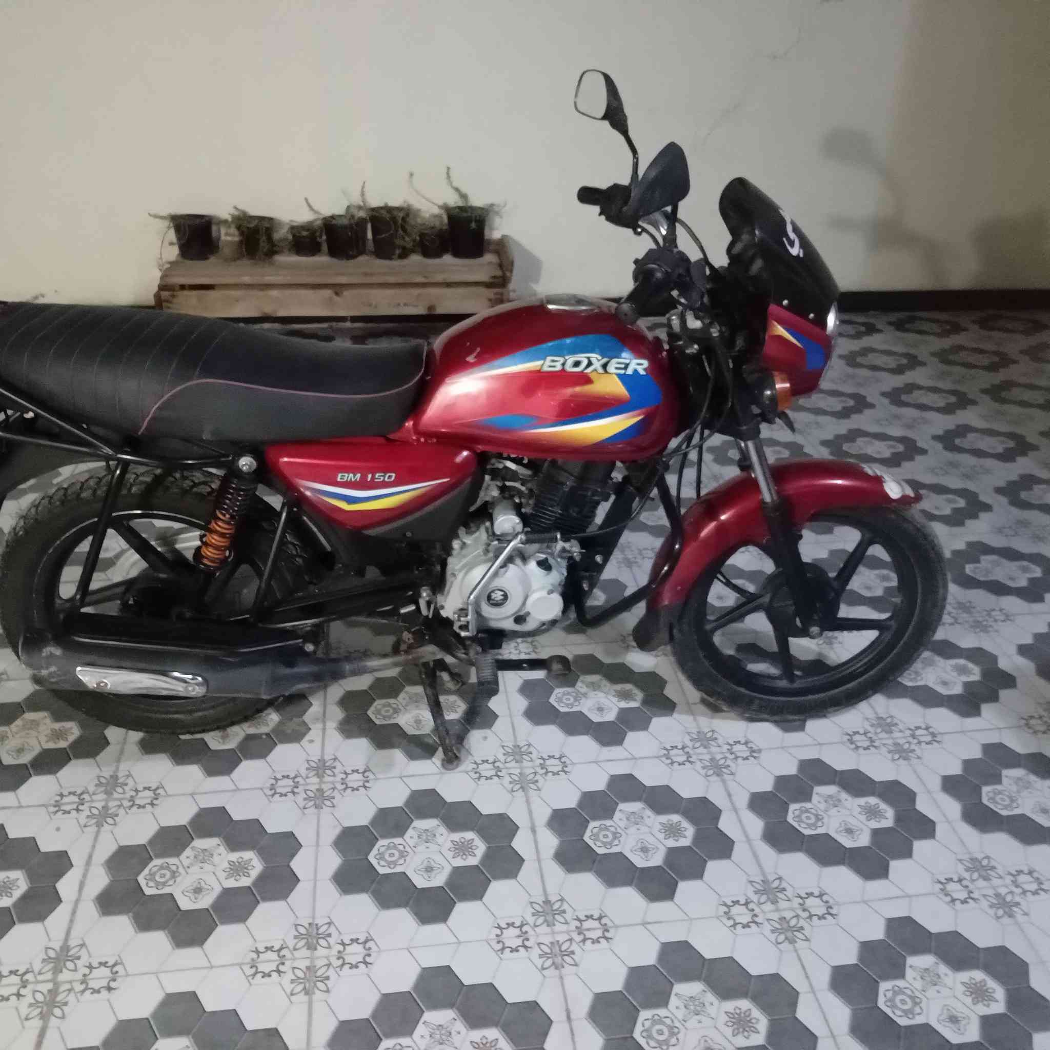 يا الله دراجه بوكسر كلاسيك البيع موديل ٢٠ أوراق اصولي شرط الترقيم محرك ابلدي مامفتوح الله شاهد مابي اي نقص السعر مناسب او مستعجل علا البيعه المكان اديالى تقاطع الوجهيه التصال علا الرقم ***********
