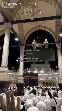 عمرة بري ب 675 الف فقط شامل الخدمات  الارشاد الديني حيث يرافق الحملة  ...