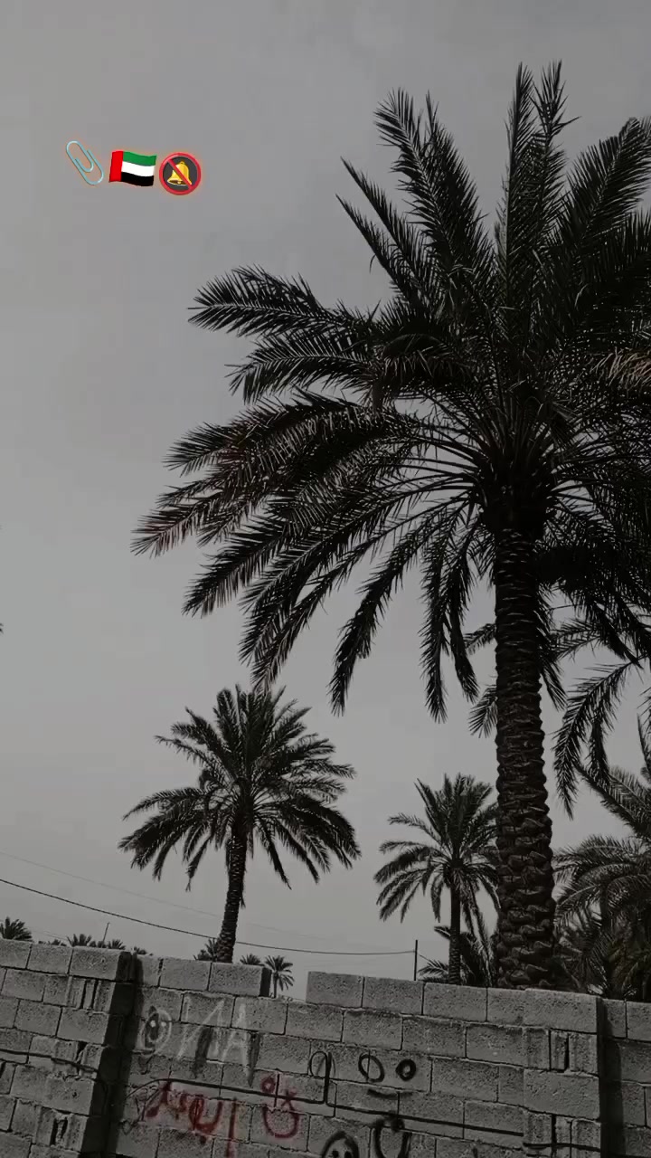 للبيع السعر خاص


**إذا كنت صاحب هذا الإعلان وتريد حذفه لأي سبب، رجاءا أرسل رسالة إلى الدعم الفني**