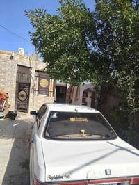 هارتوب • موديل ٩١ • رقم بصره