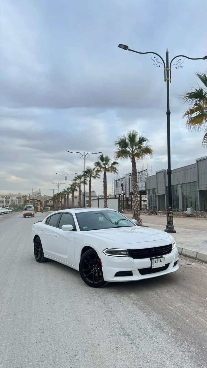 Dodge charger 2021 clean title 

دودج تشارجر 2021 SXT Plus
کلین تایتل بدون سبغ ٣ جێی بچوک  ساردە بێ ئێرباگ پێش کەپس  کوشین جلد کوشین کارەبا کوشین سارد و گەرم  سلایت سوکان هیتەر  کوشین خەزن رەقەم هەولێر هەموو شتی بەشەرت  عنوان هەولێر  ژ.م ***********

عربي

دوج تشارجر مودیل٢٠٢١ sxt plus 
كلين تايتل بدون سبغ ٣ مكان بارد سلايد كشنات كهربا كشنات جلد و تدفئة تبريد كشن خزن كلشي بشرط رقم اربيل مكان اربيل  *********** أربيل, العراق
