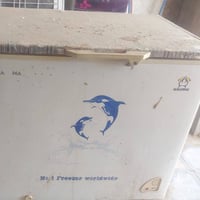 مجمدة • حجم وسط • للبيع