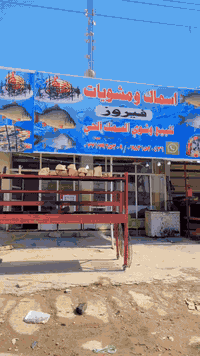 غراض محل للبيع فقط الغراض بدون المحل غراض مال محل كله جديد مكانهن النجف ***********
