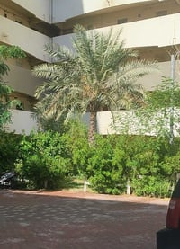 بلوك A2 • ١٠٠م • بدون موافقة