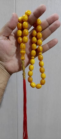 سندلوس • أحمر كبدي • شبيه البولندي