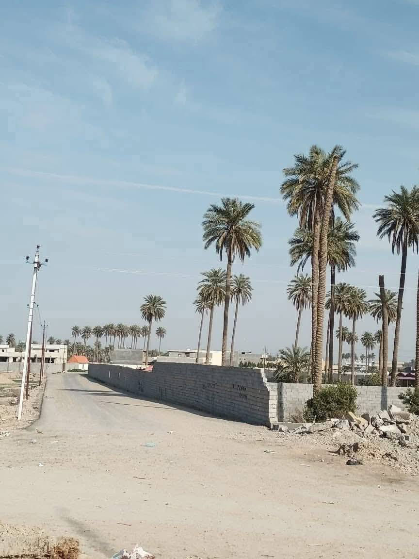 قطعة ارض للبيع 🏜
طابو زراعي صرف 💯
ســــــــنــــــــــد ٢٥ 📝
مقابل برج الجزيرة السياحية/شارع الفنان ماجد حميد 📍
المساحة ٥٠ متر 🔛
شاملة خدمات ✅
تــــبــــلـــيـــط 🛣
ارصــــــفــــــة 🚧
اعـمـدة كهربـاء ⚡
تصريف صحي 🚽
تصريـف امطار ☔
انترنت ضوئي 🌐
السعر ٢٨ مليون 💵
قـابـل للتفاوض 🔐 
للاستفسار الاتصال على ***********وتساب  ملاحظة قريبة جدآ جدآ جدآ  من الشارع العام
