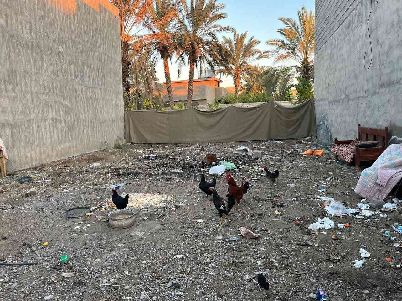 للبيع رباط سند زراعي 

المساحة ١٥٠ متر

السعر  ٣٠ مليون وبيه مجال 

الموقع - جمعية الامام - شارع الضلوعية - قرب محلات حجي رضا للسيراميك 
محتويات الارض 

٢ غرفه نوم 
صاله 
استقبال 
مطبخ 
كراج 
تبليط وخدمات ومجاري 
للاستفسار 
*********** - ***********
