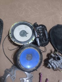 نواعم شلاعه • شغال • بابل الكفل