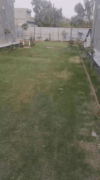 بيوت عدد اثنين مساحة البيت 200متر عدد غرف النوم كل بيت غرفتين نوم وصالة واستقبال وصحيات خارجية وداخلية وحديقة وسطية بين البيت وحديقة خلفية مساحة الكلية للبيتين والحديقة 600 متر بناء حديث قريب على شارع العريفية الرئيسي معروضةفي مكتب الزيدي في العريفية الشارع العام رقم الهاتف *********** السعر النهائي 305 مليون
