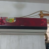 سبلت دنكا • طن ونص • البصرة-الحيانية