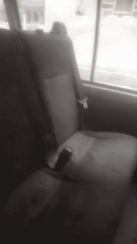 سلام عليكم شباب عندك شنات مال هاي سمبوز للبيع ثلاث كشنات كاملات عندنا  للبيع ثلاث كشنات كاملات عندنا وحزاماتين وغرافين للبيع شراي خابرني ***********
