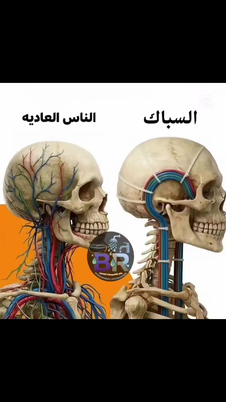 الثقه بالنفس هي أساس كل نجاح
باقر للتأسيسات الصحيه
شغل درجة أولى حسب الطلب
*********** ***********
@إشارة
