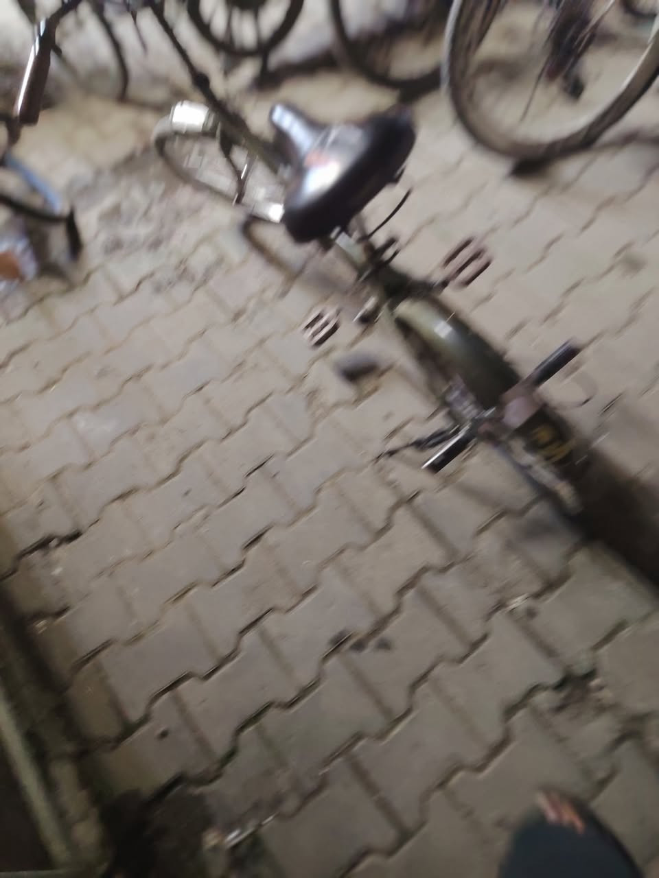 بايسكل ابو الطبكة للبيع السعر ٥٠ وبي مجال كركوك حي عدن بيع مستعجل


**إذا كنت صاحب هذا الإعلان وتريد حذفه لأي سبب، رجاءا أرسل رسالة إلى الدعم الفني**