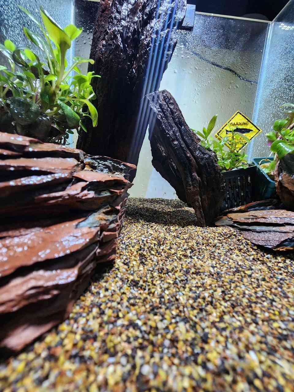حوض قياس30×30×30🐠
بتصميم جديد 🍀🌧✨️
يحتوي على
رمل طبيعي 
حجر طبيعي🪨
نبات طبيعي🍀
فلتر هانك (شلال):لتنقية المياه وتنضيف الشوائب
اناره LED:متغيرة الالوان
هيتر :للحفاض على درجة حرارة المياه في الحوض 
قطعة ديكور 
كل هذا ب٦٠ الف دينار✅️
يوجد توصيل لجميع المحافضات🚚


**إذا كنت صاحب هذا الإعلان وتريد حذفه لأي سبب، رجاءا أرسل رسالة إلى الدعم الفني**