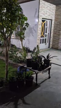 طابو زراعي • منزل 200م • المدائن سلمان باك